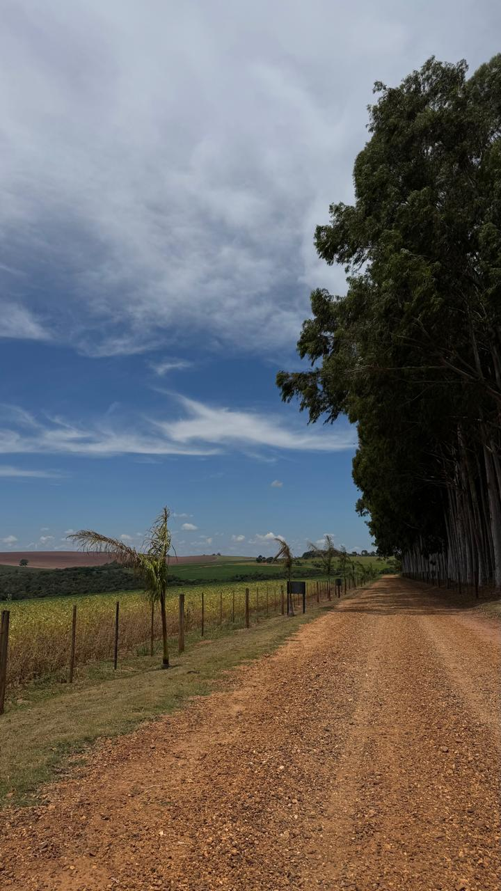 Estrada da Fazenda Lagoa do Alto CM