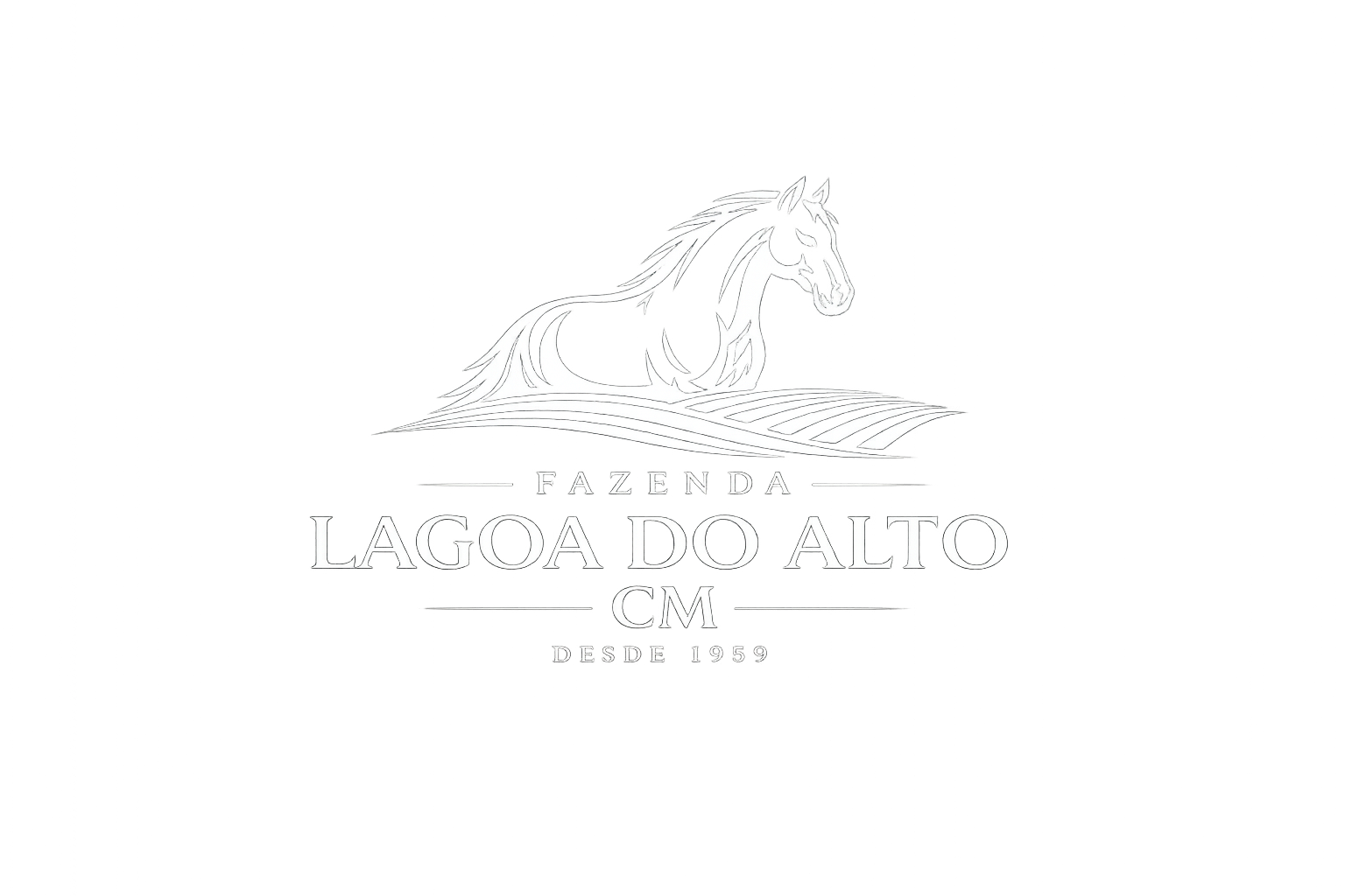 Fazenda Lagoa do Alto CM